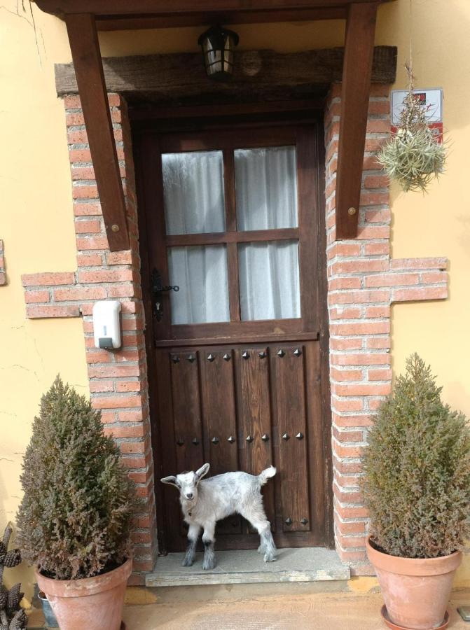 Carroceu Rural Cangas de Onís Exterior foto